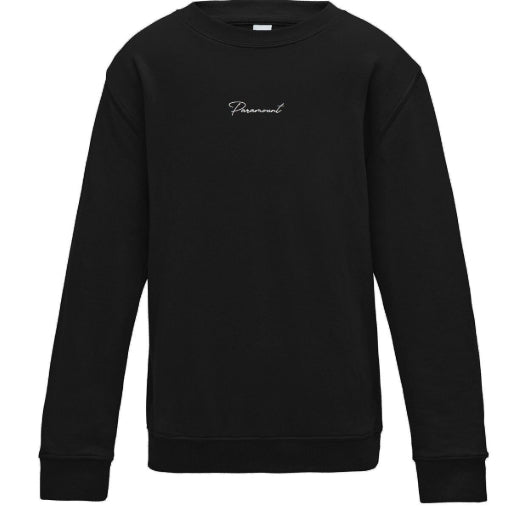 Embroidered Paramount sweater ( Adult )