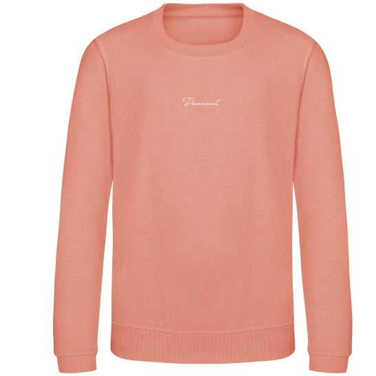 Embroidered Paramount sweater ( Adult )