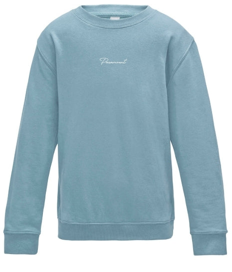 Embroidered Paramount sweater ( Adult )