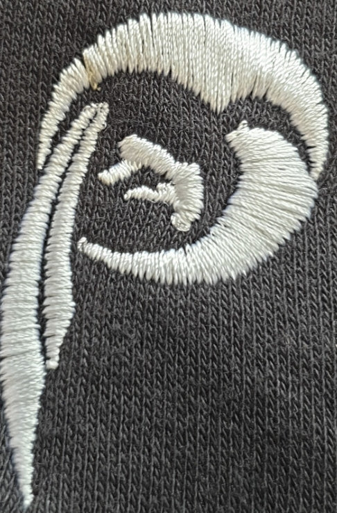 Embroidered Paramount Jog Pants ( Adult )